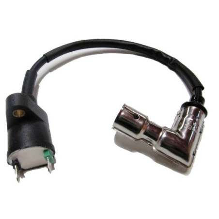Bobina de alta R3 - Motosapollo.com