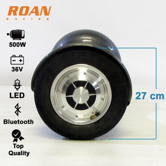 Monociclo Electrico Roan Smart 500W R10 Bluetooth - Motosapollo 2