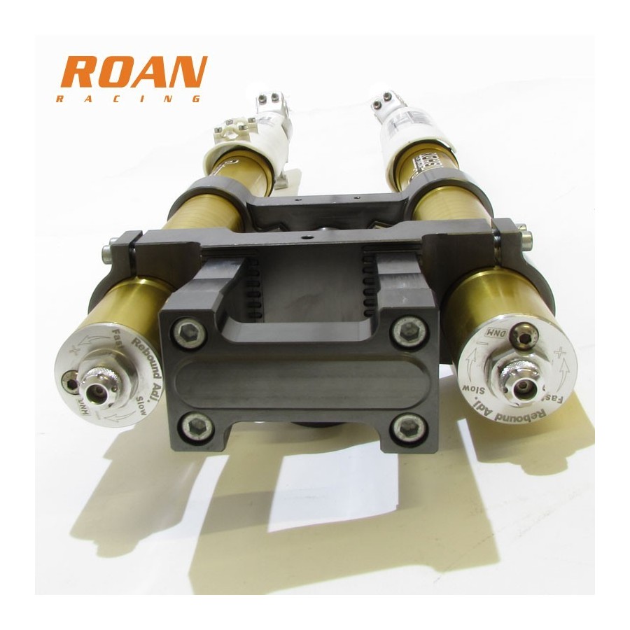 Horquilla invertida Pit Bike DNM M200 - Motosapollo.com
