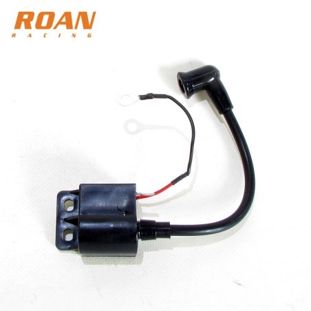 Bobina de alta 2T r50 - Motosapollo.com