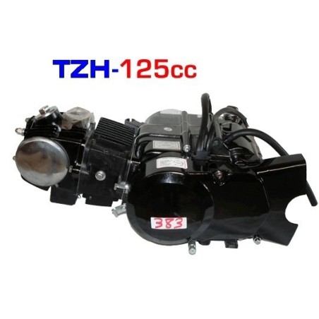Motor 125 TZH Pit Bikes - 2