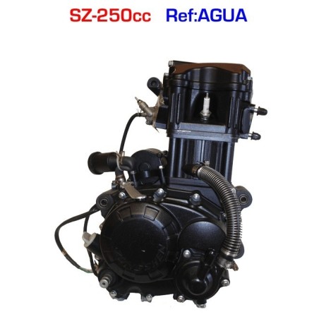 Motor 250 zongshen agua - 1