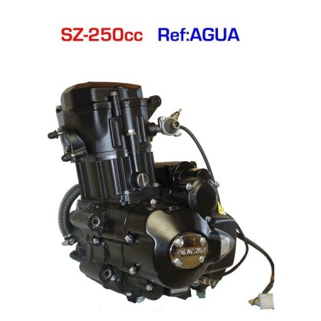 Motor 250 zongshen agua - 2
