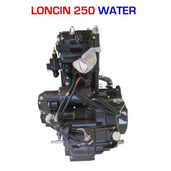 Motor 250 cc agua Loncin - 1 2