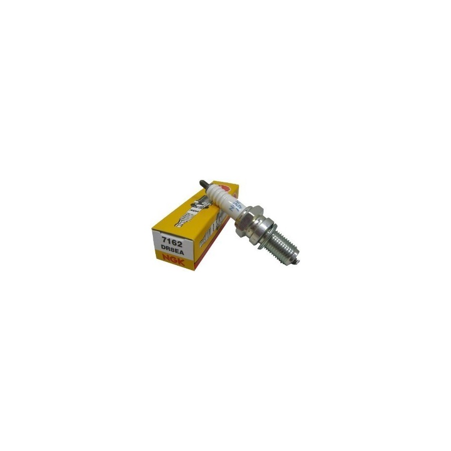 Bujia Pit Bike NGK DR8EA 7162 4T - 1