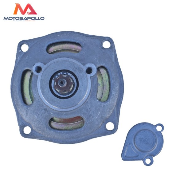 Campana minimoto 7D 25H con cubre-piñon - Motosapollo.com 2