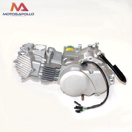 Motor 160 YX - Motosapollo.com