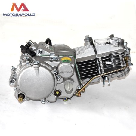 Motor 160 YX - Motosapollo.com