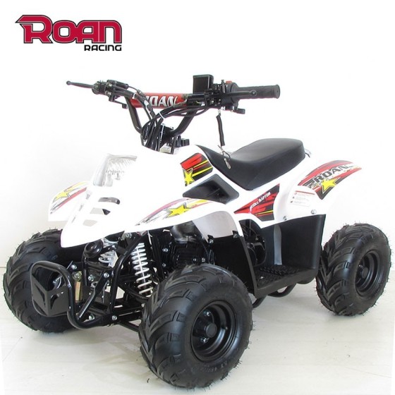 Mini Quad 110cc RAPTOR PRO - Motosapollo.com
