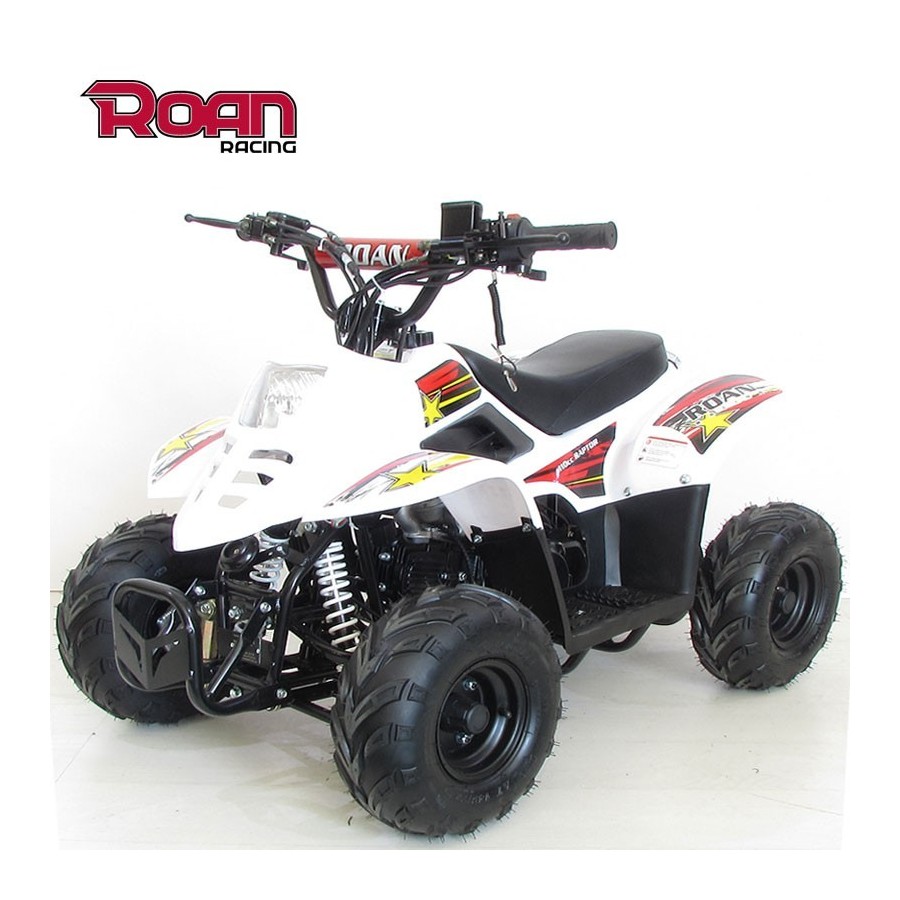 Mini Quad 110cc RAPTOR PRO - Motosapollo.com