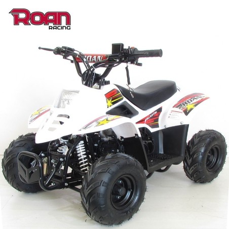 Mini Quad 110cc RAPTOR PRO - Motosapollo.com