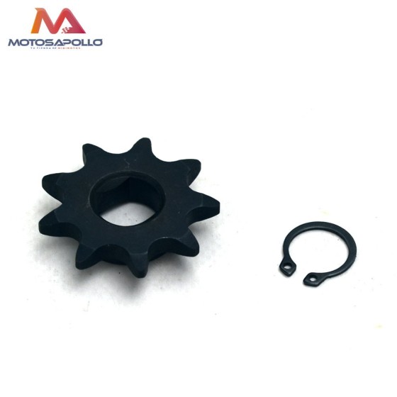 Piñon de salida 12 mm pit bike
