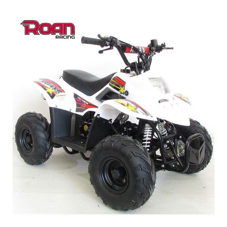 Mini Quad 110cc RAPTOR PRO - Motosapollo.com