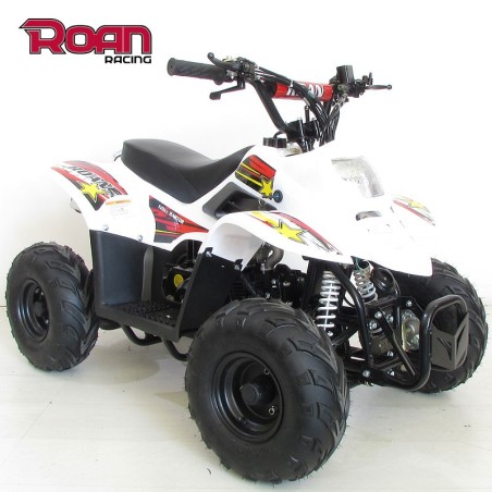 Mini Quad 110cc RAPTOR PRO - Motosapollo.com