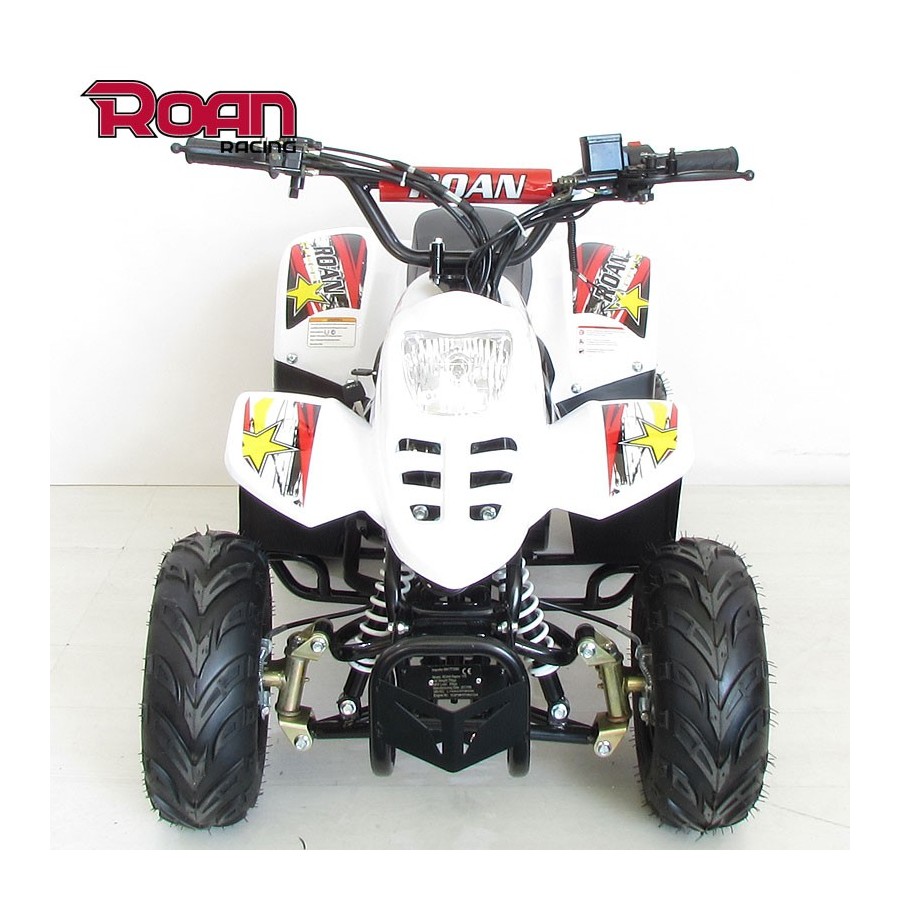 Mini Quad 110cc RAPTOR PRO - Motosapollo.com