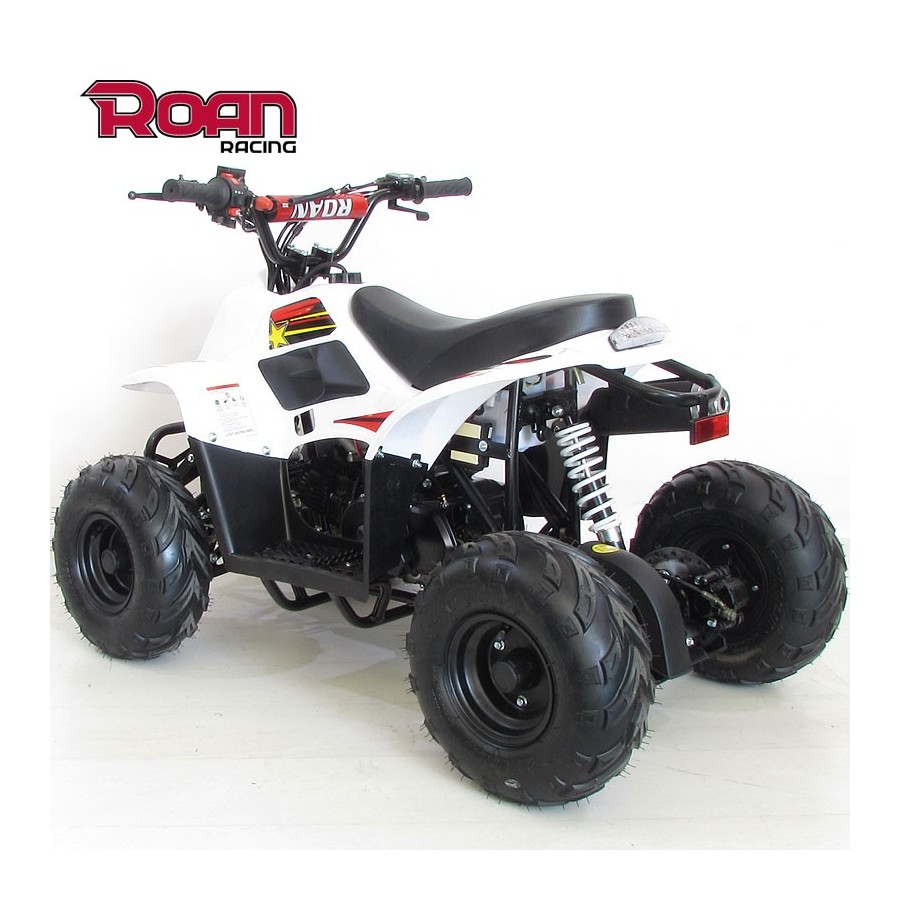 Mini Quad 110cc RAPTOR PRO - Motosapollo.com