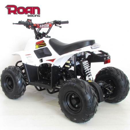 Mini Quad 110cc RAPTOR PRO - Motosapollo.com