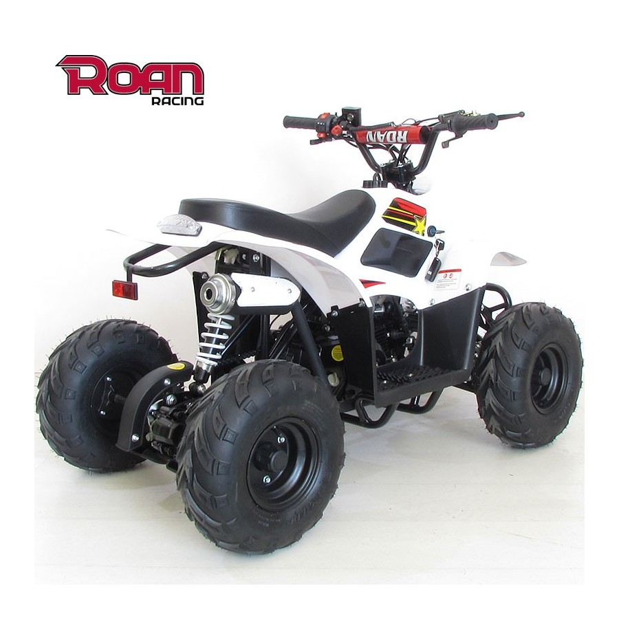 Mini Quad 110cc RAPTOR PRO - Motosapollo.com