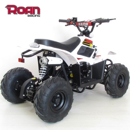 Mini Quad 110cc RAPTOR PRO - Motosapollo.com