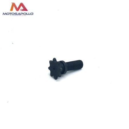 Piñon salida H25 8T minimoto-Motosapollo.com