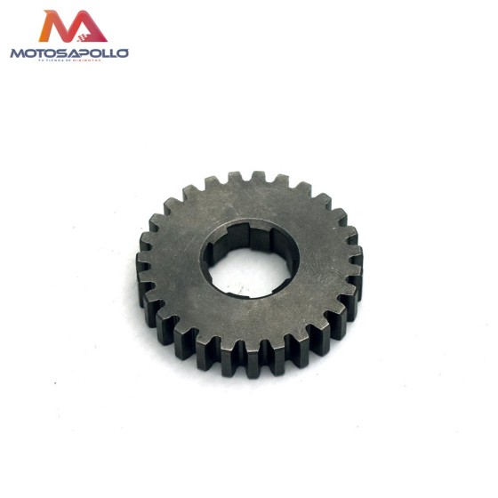 Piñon caja cambio secundario 27T 20mm Pit bike - Motosapollo.com