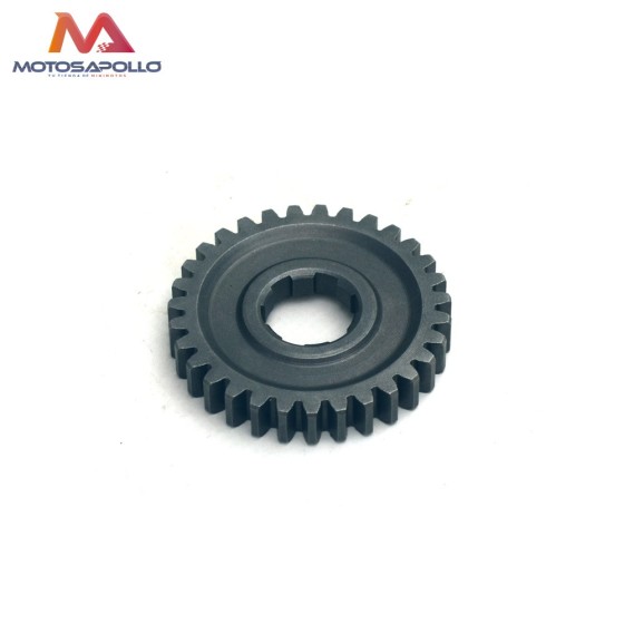 Piñon caja de cambio 31T 20mm pit bike-Motosapollo.com