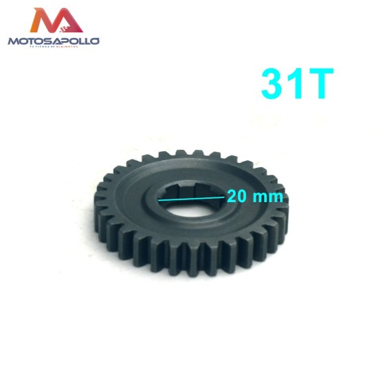 Piñon caja de cambio 31T 20mm pit bike-Motosapollo.com 2