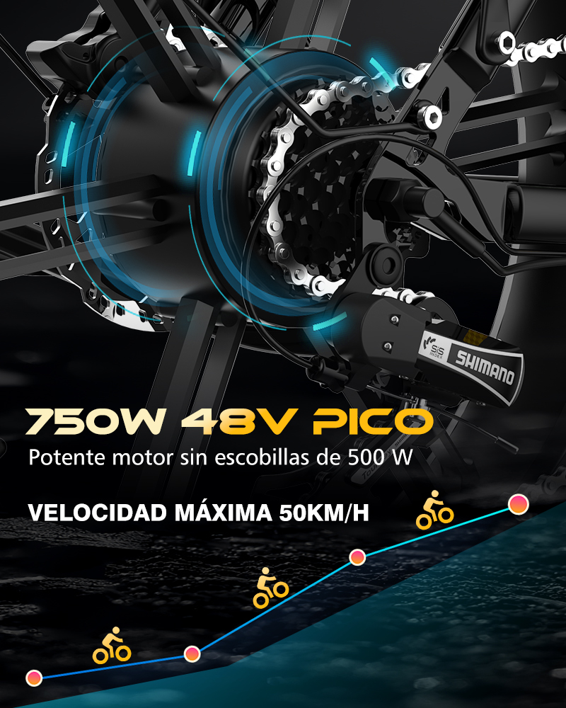 motor Bicicleta eléctrica Koolux BK6S PRO 250W 2 BATERÍAS 48V 11,7Ah