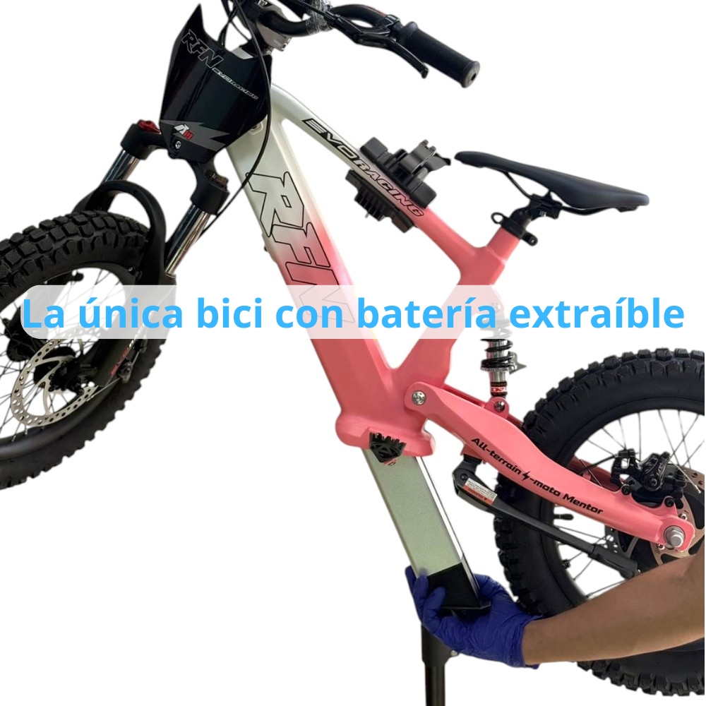BATERÍA EXTRAÍBLE BICI RFN EVO