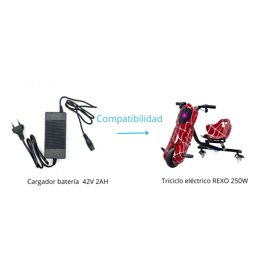 Cargador batería R1-Hembra 42V-2Ah