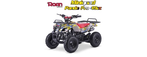 Miniquad infantil ¿Dónde puedo comprar?